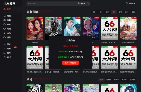 66 大片网